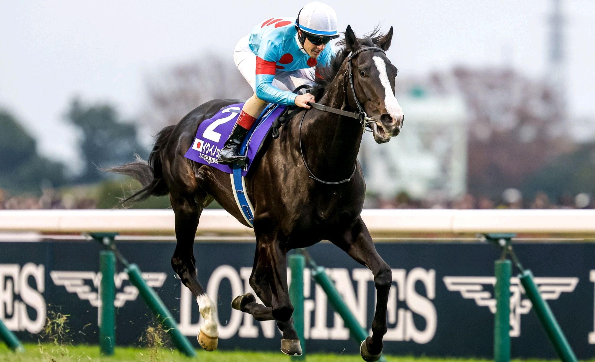 包含马赛备战赢球，士气高涨迎战蒙彼利埃的词条